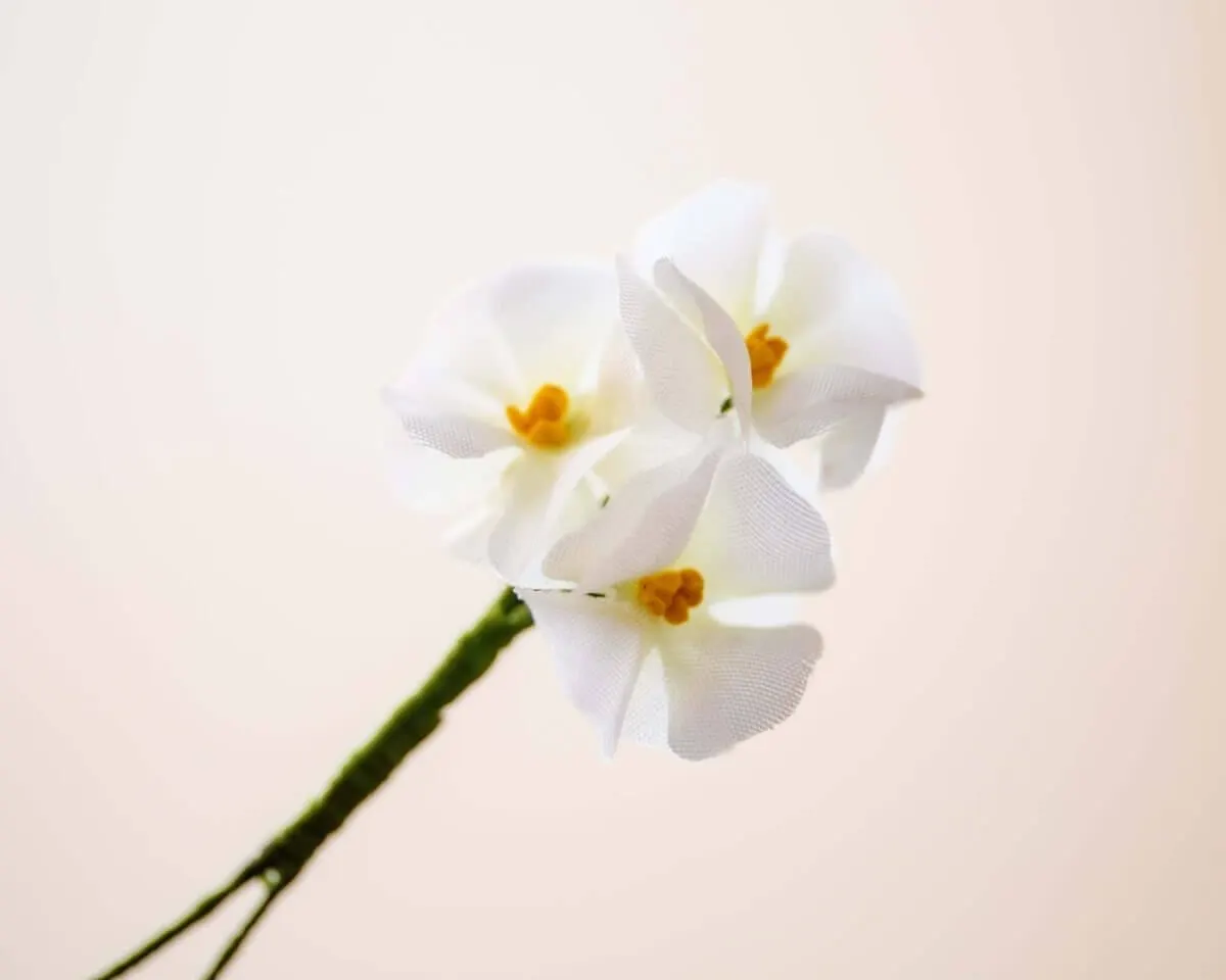 Boutonnière Phlox (griech.: φλόξ) - Ansicht 2