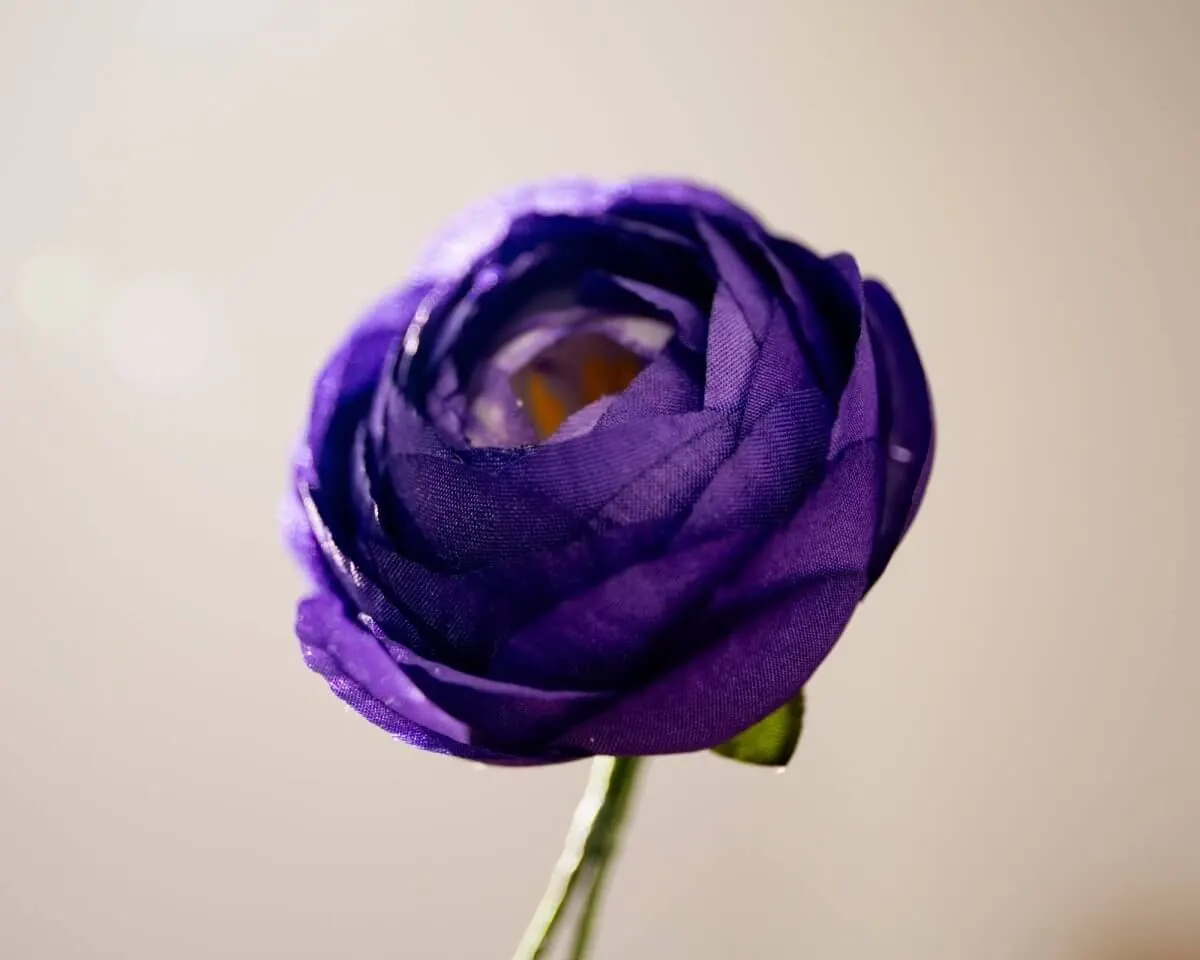 Boutonnière Ranunkel Violett (Ranunculus) - Ansicht 2