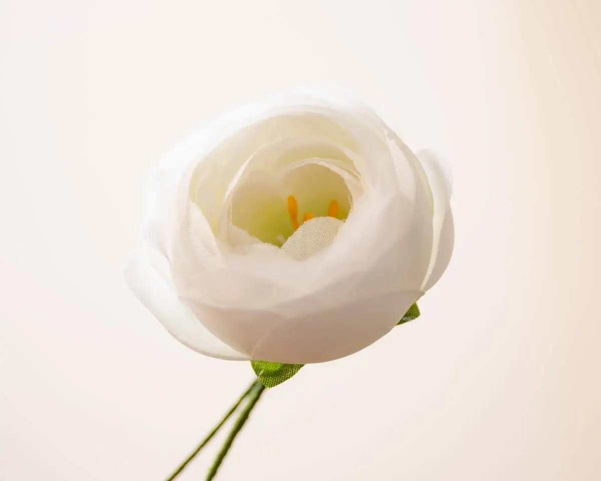 Boutonnière Ranunkel Weiß (Ranunculus) - Ansicht 2