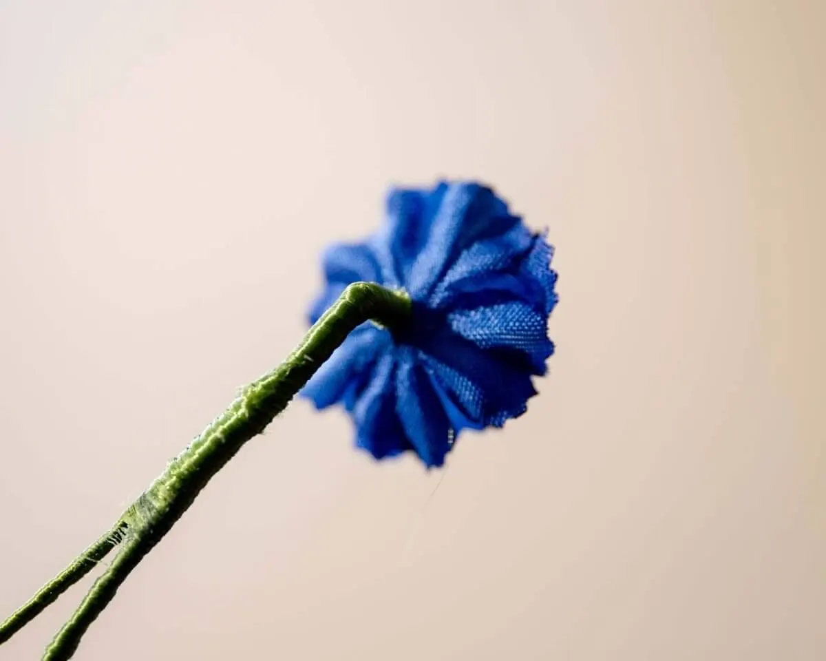 Boutonnière Rittersporn Dunkelblau Mini (Delphinium) - Ansicht 3