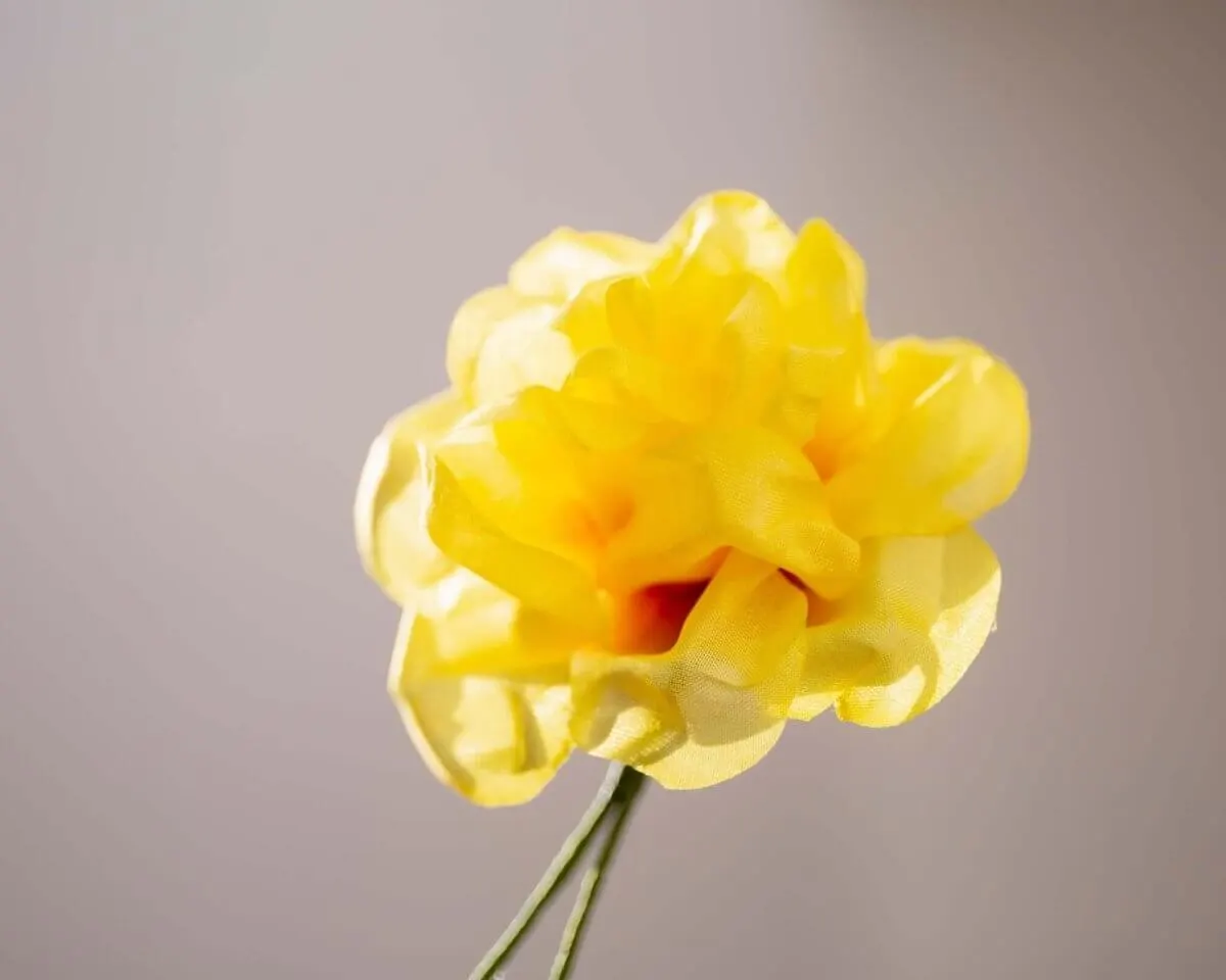 Boutonnière Rose Gelb (Rosa odorata) - Ansicht 2