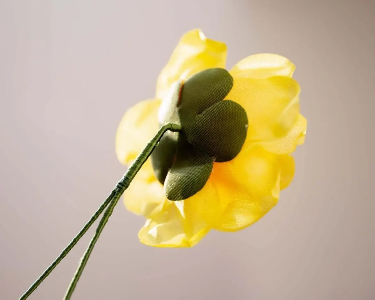 Boutonnière Rose Gelb (Rosa odorata) - Ansicht 3