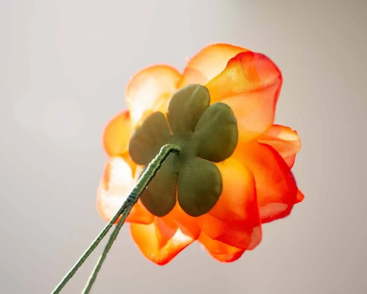 Boutonnière Rose Orange (Rosa odorata) - Ansicht 3