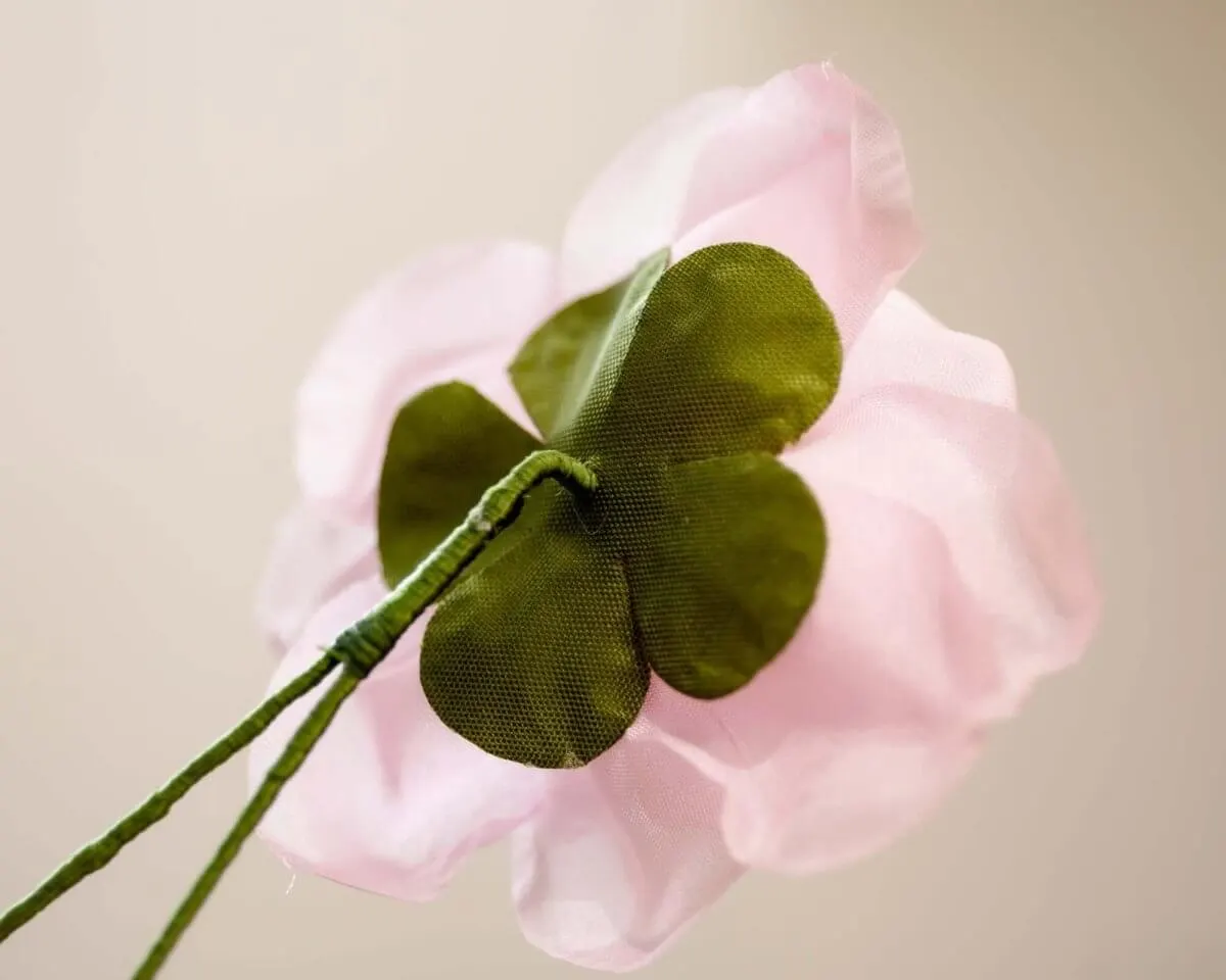 Boutonnière Rose Rosa (Rosa odorata) - Ansicht 3