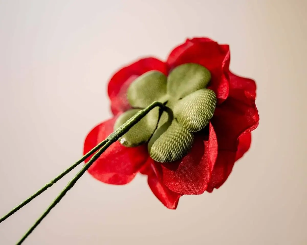 Boutonnière Rose Rot (Rosa odorata) - Ansicht 3