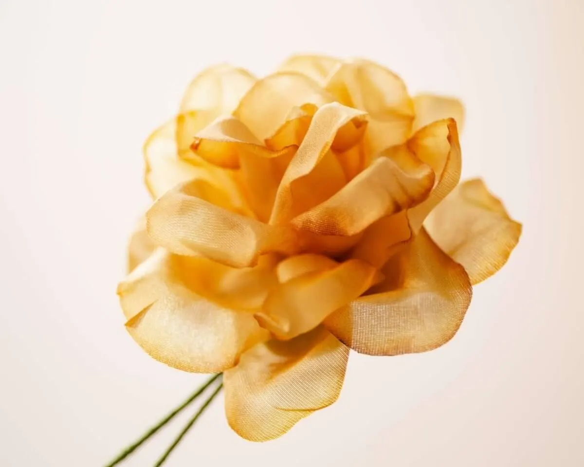 Boutonnière Rose Sepia (Rosa odorata) - Ansicht 2