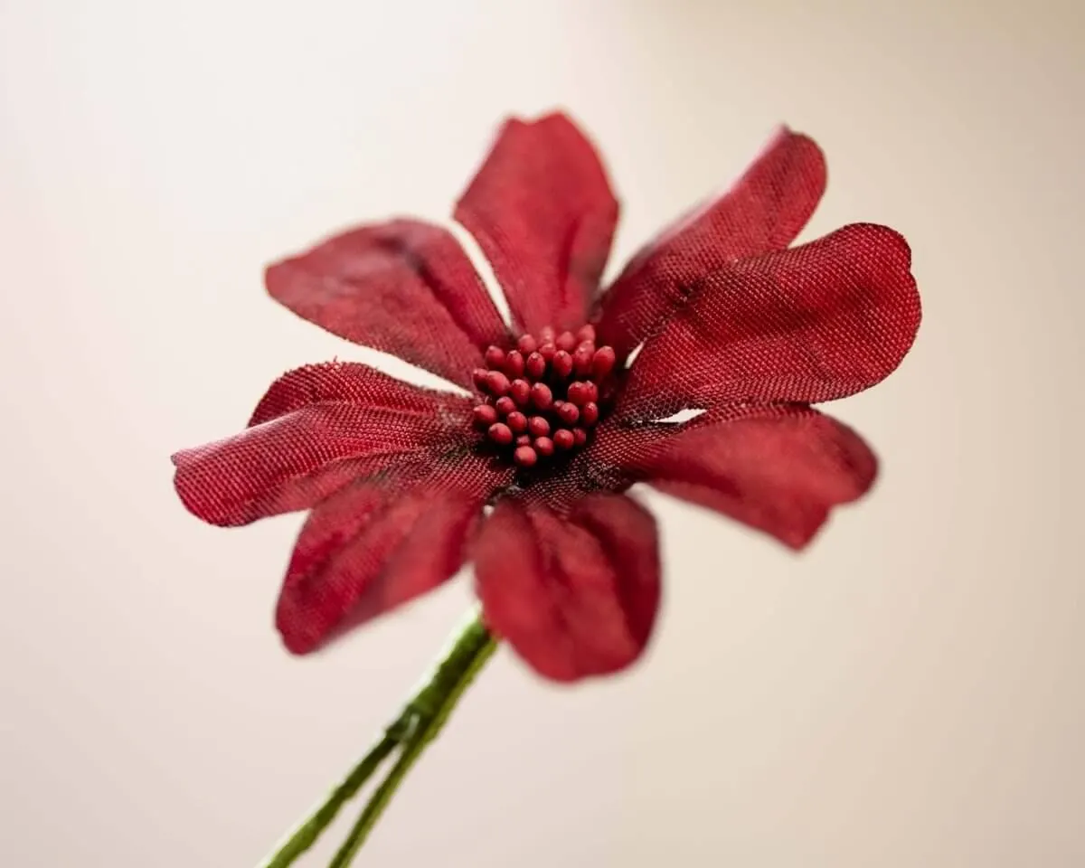 Boutonnière Schokoladenblume (Cosmos atrosanguineus) - Ansicht 2