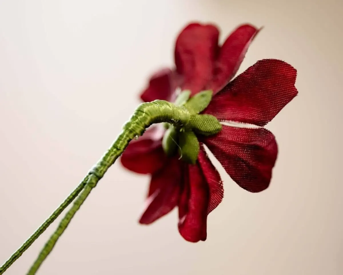 Boutonnière Schokoladenblume (Cosmos atrosanguineus) - Ansicht 3
