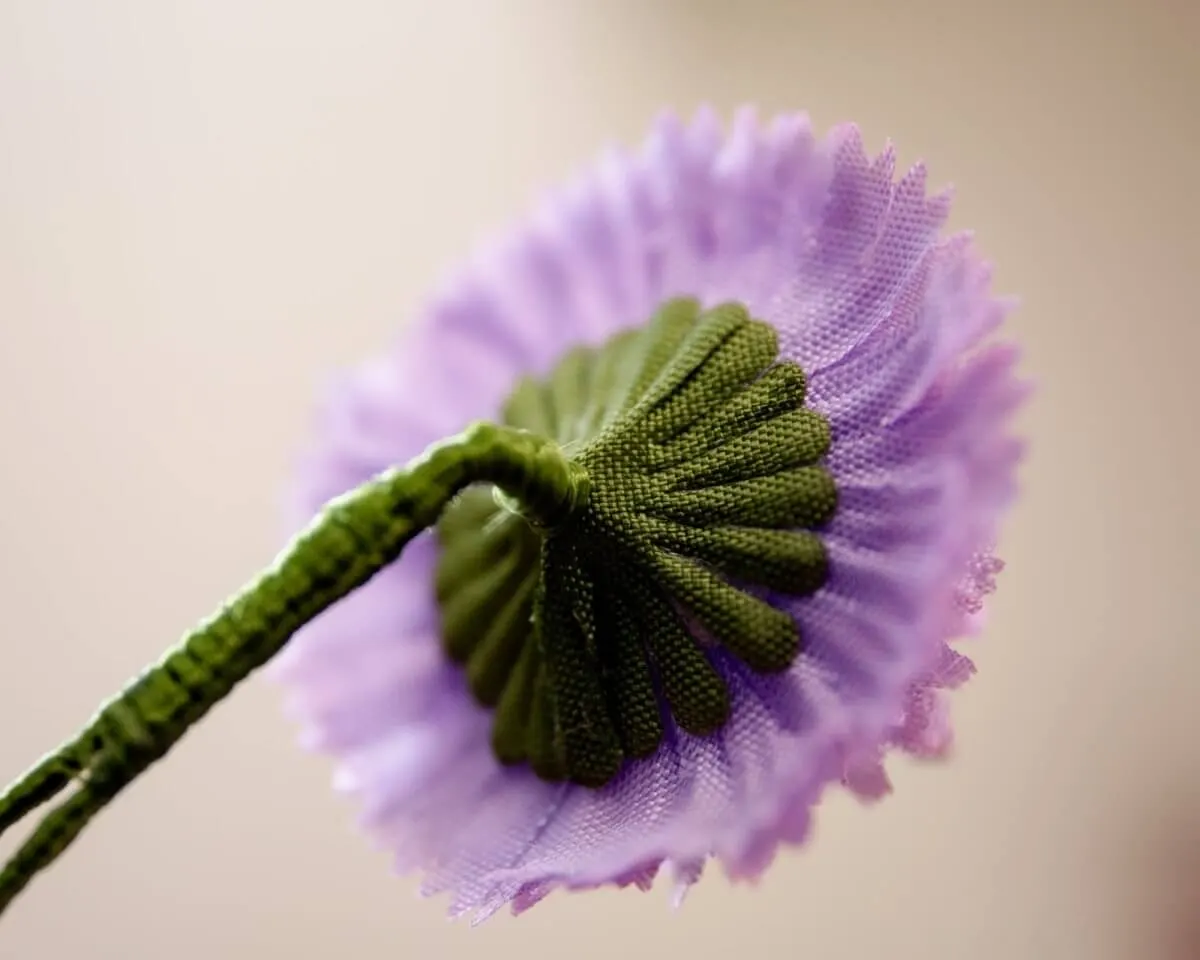 Boutonnière Skabiose (Scabiosa japonica) - Ansicht 3