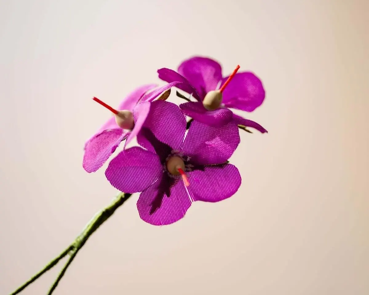 Boutonnière Storchschnabel Lila 3er (Geranium) - Ansicht 2
