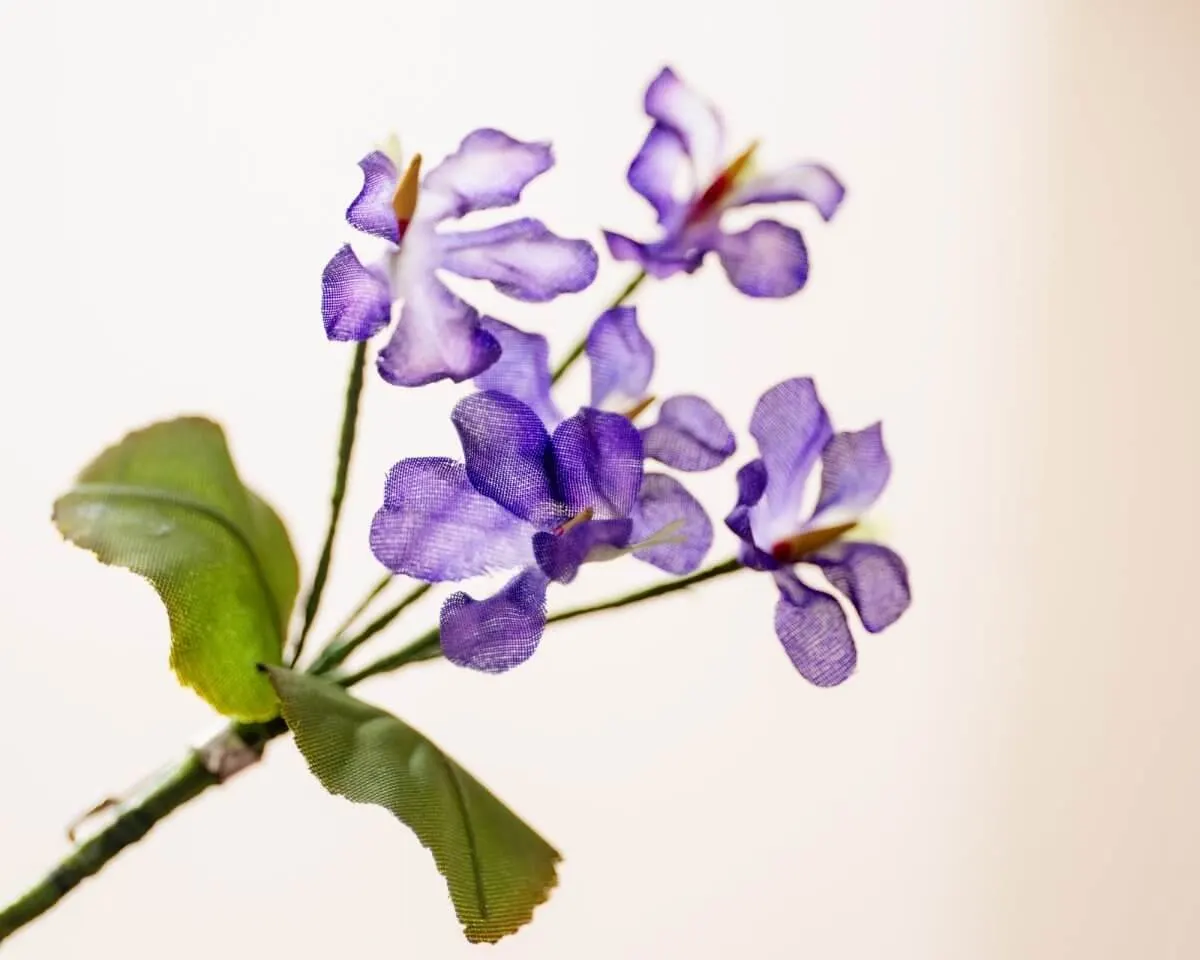 Boutonnière Veilchen Violett (Bouquet) - Ansicht 2