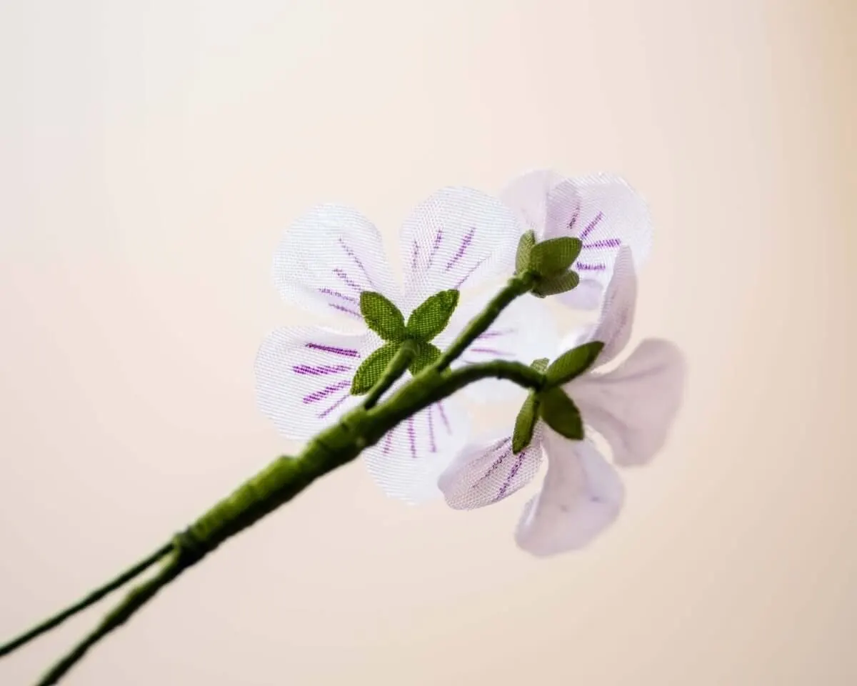Boutonnière Waldsauerklee 3er (Oxalis acetosella) - Ansicht 3