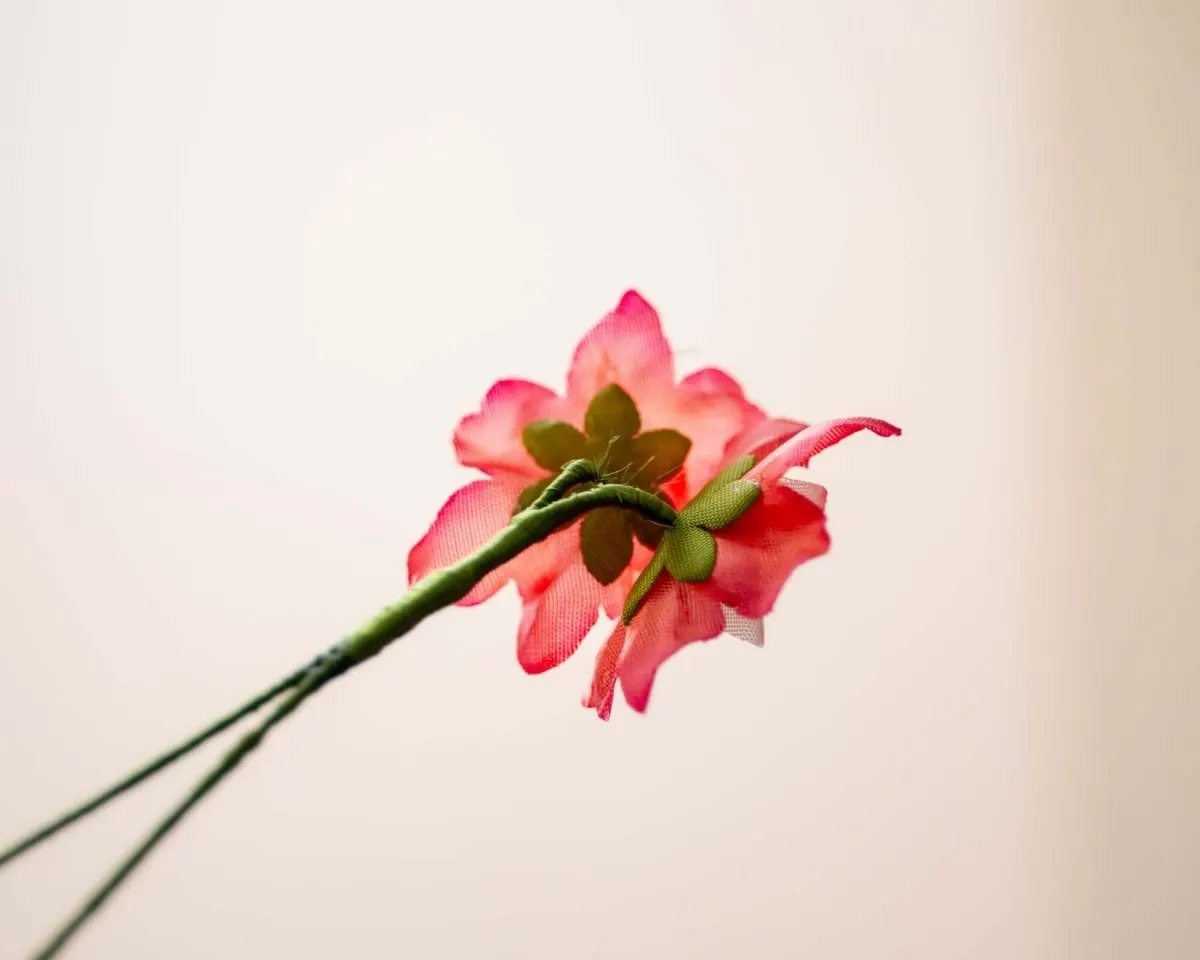 Boutonnière Wildblume (Ignotum nomen) - Ansicht 3