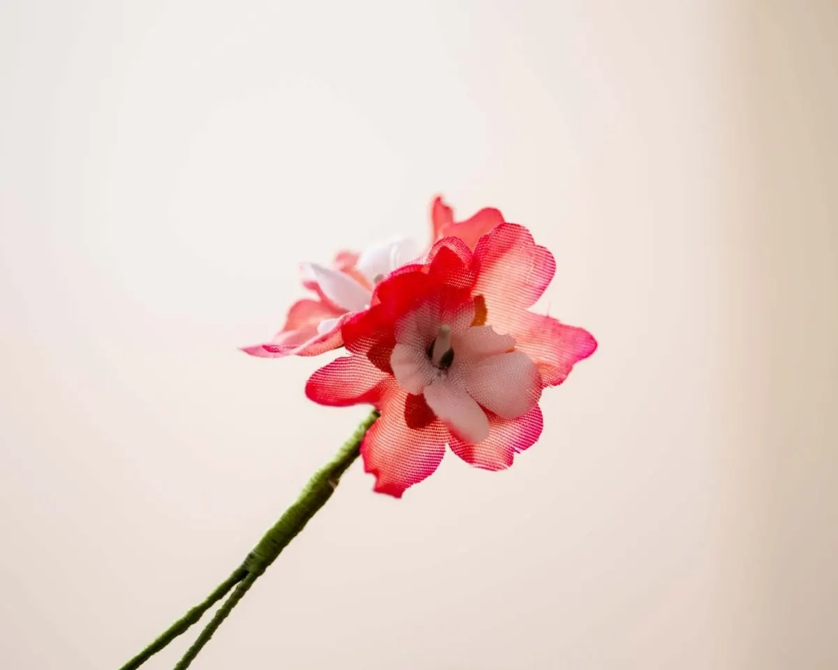 Boutonnière Wildblume (Ignotum nomen) - Ansicht 2