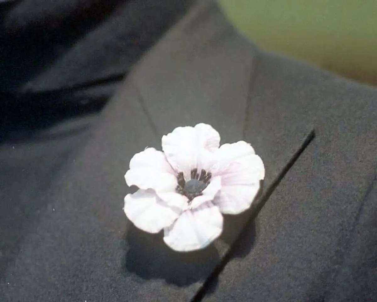 Boutonnière Anemone Blasslila (Anemone coronaria 'Bride') - Ansicht 4