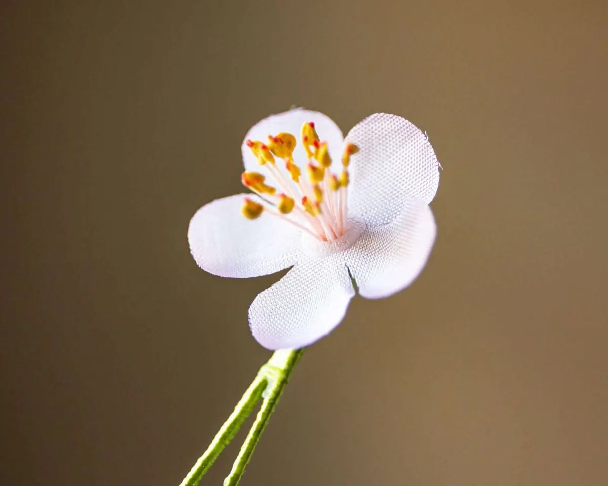 Boutonnière Kirschblüte Rosa Mini (jap. sakura) - Ansicht 4