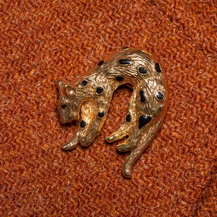  - representative image, shown here: Brooch Panther d
